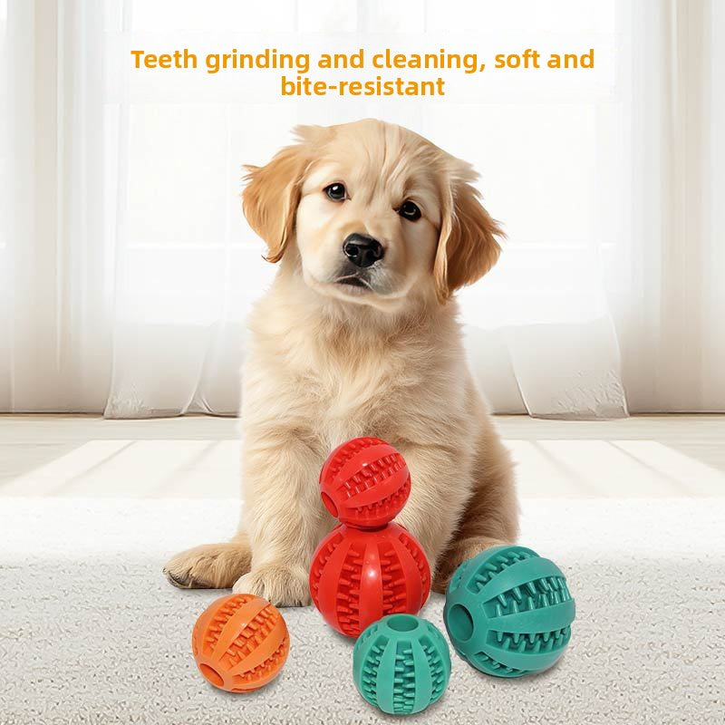 Pet Chew Toy with Food Dispenser