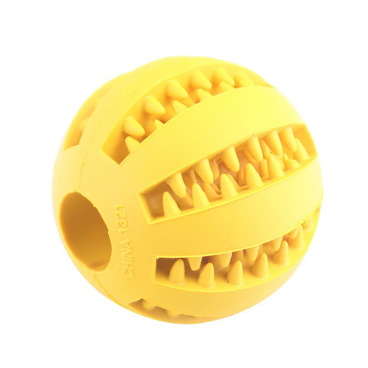 Pet Chew Toy with Food Dispenser